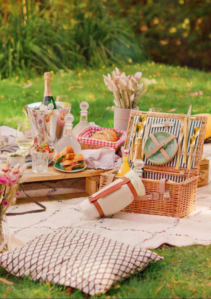 schönes Picknick setting im Park mit Sicht auf den Zürichsee